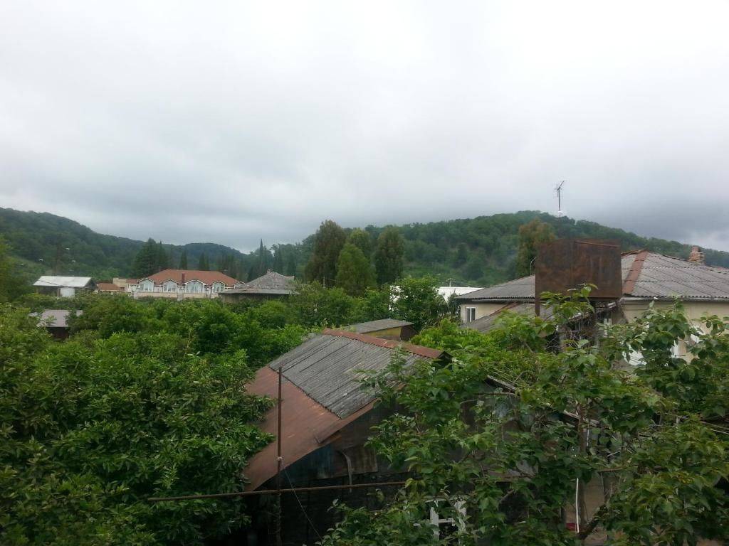 Фотографии номера Трехместный номер с видом на горы в Гостевом доме Гостевой дом Южная Пальмира Пицунда